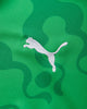 Puma Puma X Efa X Salehe Bembury Replica Match Jersey Sb Gk Green/Fast Green Shorts Short 787112-80