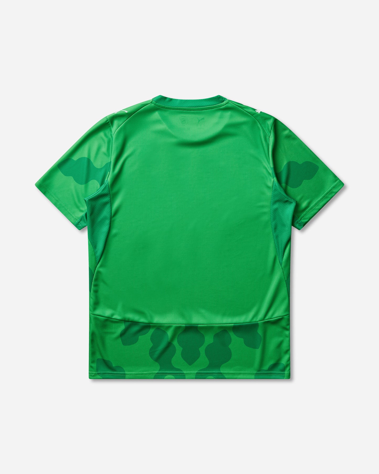 Puma Puma X Efa X Salehe Bembury Replica Match Jersey Sb Gk Green/Fast Green Shorts Short 787112-80