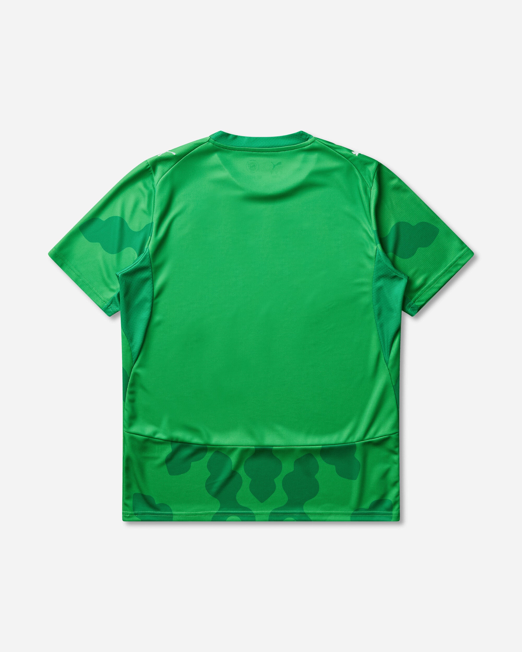Puma Puma X Efa X Salehe Bembury Replica Match Jersey Sb Gk Green/Fast Green Shorts Short 787112-80