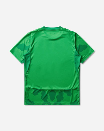 Puma Puma X Efa X Salehe Bembury Replica Match Jersey Sb Gk Green/Fast Green Shorts Short 787112-80