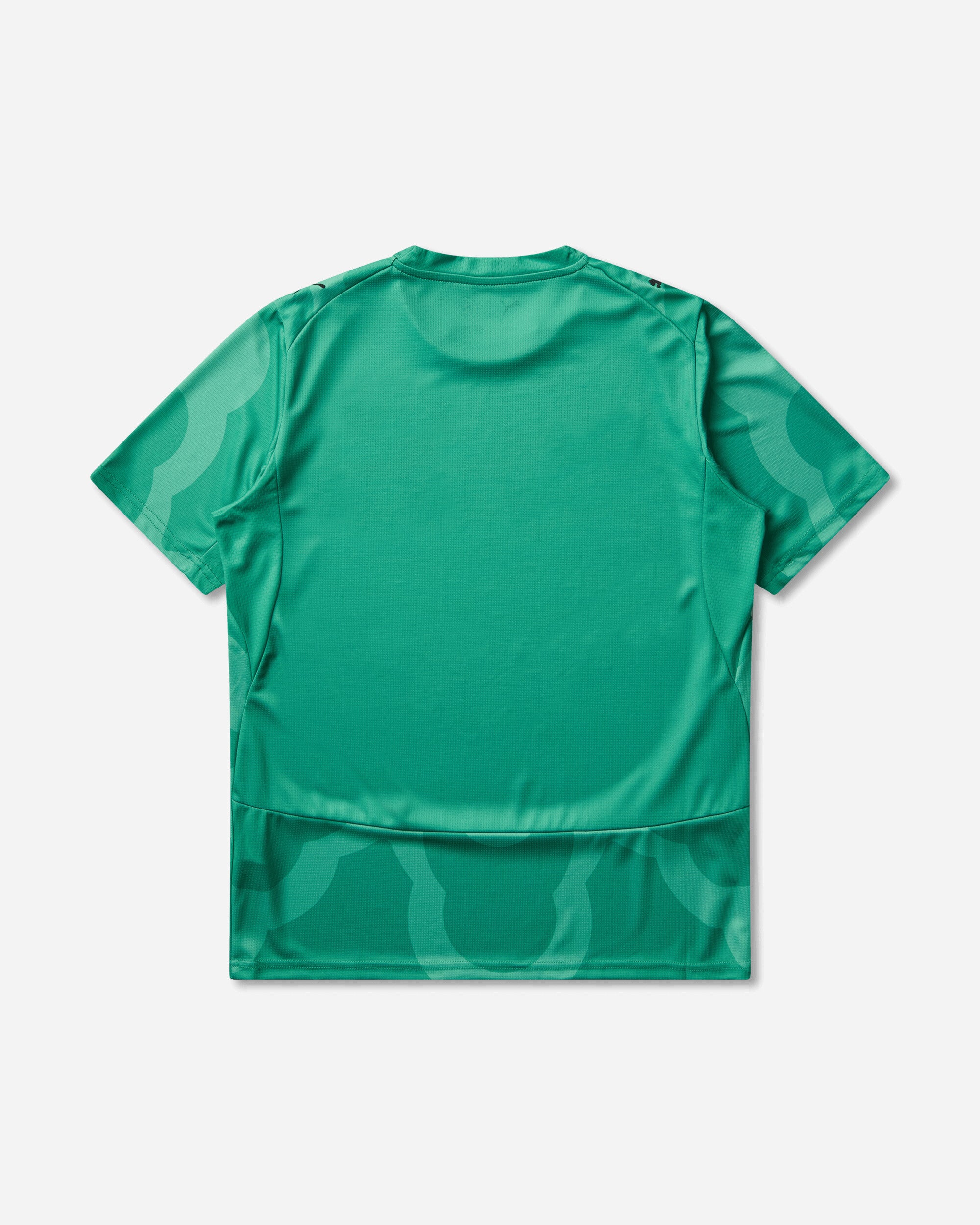 Puma Puma X Fif X Salehe Bembury Replica Match Jersey Sb Gk Sparkling Green/Black Knitwears Sweaters 787111-89