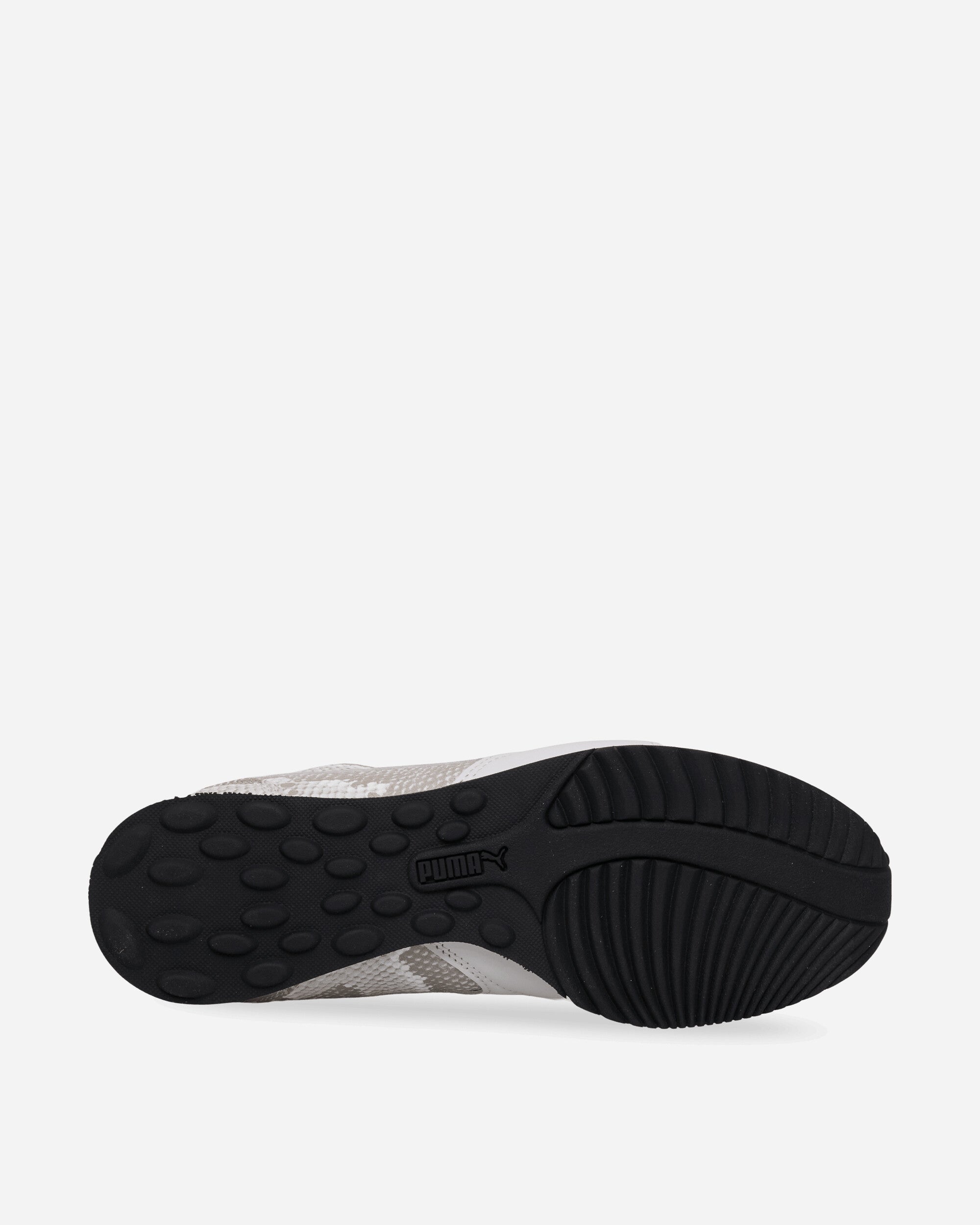 Puma Sprint Snake Vapor Gray/Feather Gray Sneakers Low 407847-02