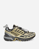 Salomon Acs Pro Gtx Gray Green/Asphalt/Monument Sneakers Low L47867000