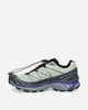 Salomon Shoes Xt 6 Sea Foam/Urban Chic/Deep Blue Sneakers Low L49213600