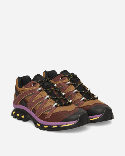 Salomon Shoes Xt Quest Expedition Black/Bchoco/C Sneakers Low L49177400