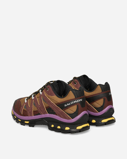 Salomon Shoes Xt Quest Expedition Black/Bchoco/C Sneakers Low L49177400