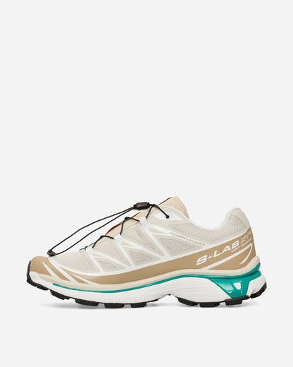 Salomon Xt-6 Rainy Day/Chinchilla/Green Sneakers Low L47864300