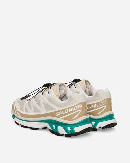 Salomon Xt-6 Rainy Day/Chinchilla/Green Sneakers Low L47864300