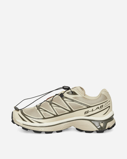 Salomon Xt 6 Eucalyptus/Grape Leaf/Almilk Sneakers Low L47989800