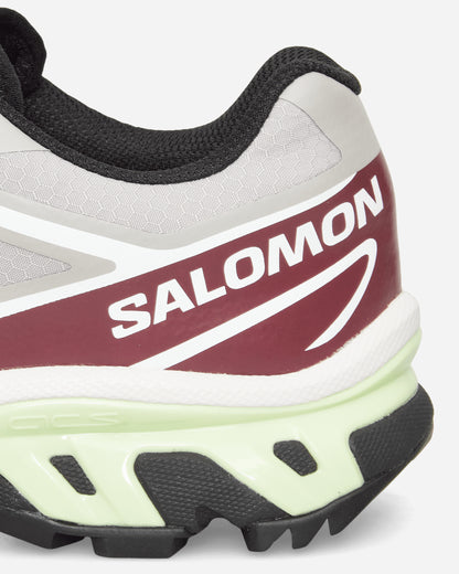 Salomon Xt 6 Gtx Paloma/Maroob/Buttrf Sneakers Low L47991600
