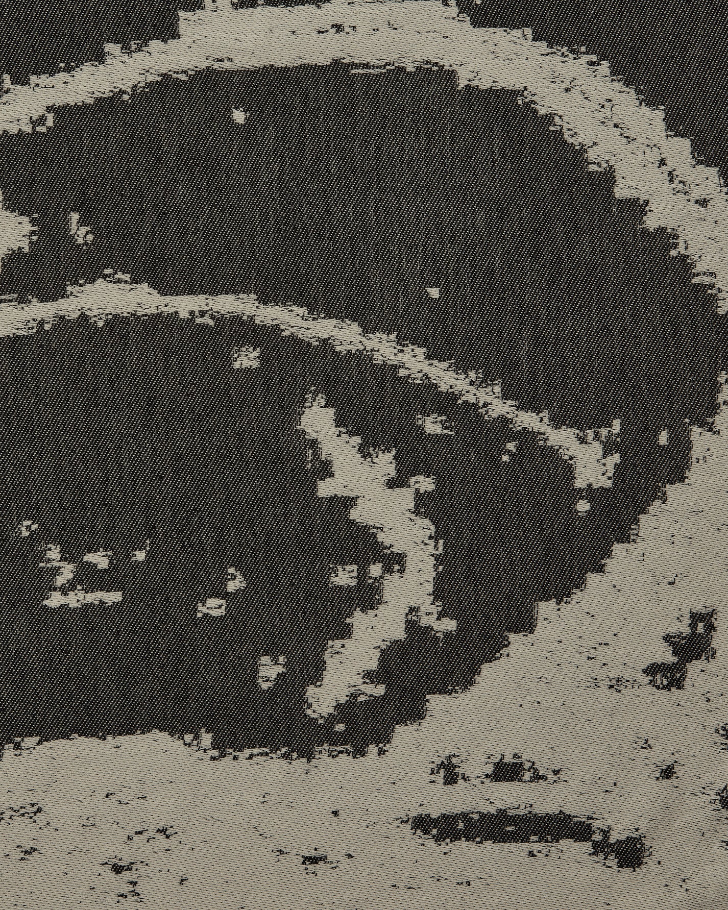 Serapis Hippocampus Pattern Towel Black Textile Bath Towels HW2TO2 001