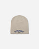 Stüssy Classic Sport Skullcap Grey Hats Caps 1321271SJ 0008