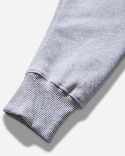 Stüssy Worldwide Dot Hood Ash Heather Sweatshirts Hoodies 1925121 0062