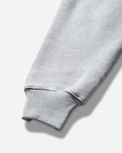 Stüssy Raglan Zip Hood Ash Heather Sweatshirts Zip-Ups 118571SJ 0062