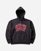 Stüssy Stussy Sport Zip Hood Washed Black Sweatshirts Zip-Ups 118540SJ 0034