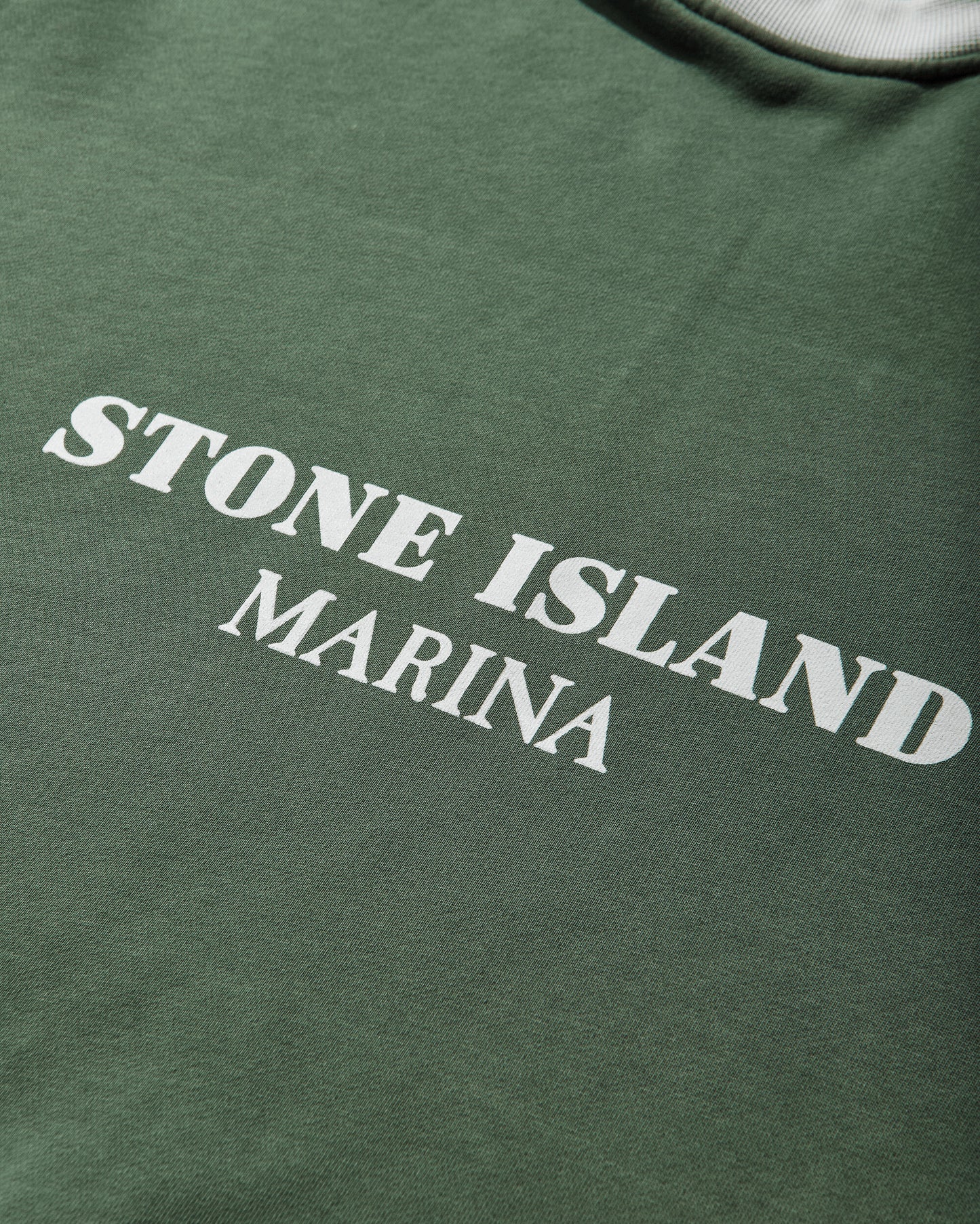 Stone Island Hoodie Sweater Quartz Green Sweatshirts Hoodies L1S156100054S0X31 V005I