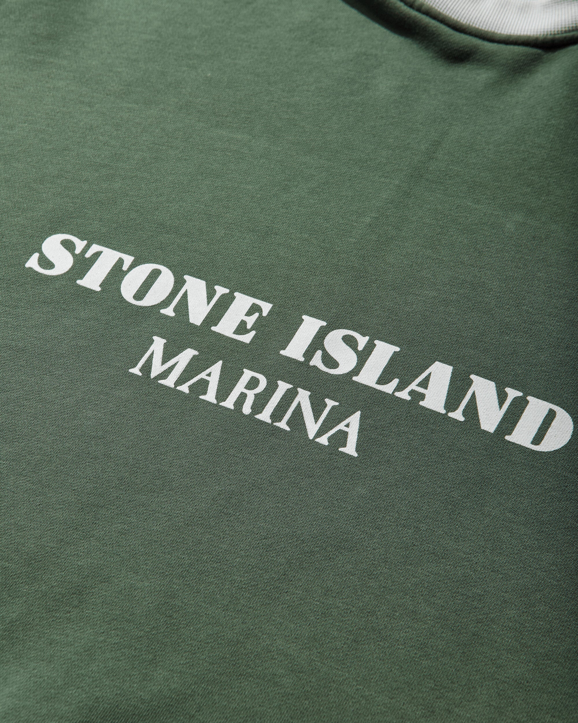 Stone Island Hoodie Sweater Quartz Green Sweatshirts Hoodies L1S156100054S0X31 V005I