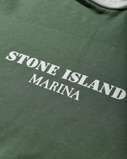 Stone Island Hoodie Sweater Quartz Green Sweatshirts Hoodies L1S156100054S0X31 V005I