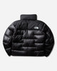 The North Face M Summit Nuptse Jacket Tnf Black Coats and Jackets Jackets NF0A8H3DJK31 NFJK3