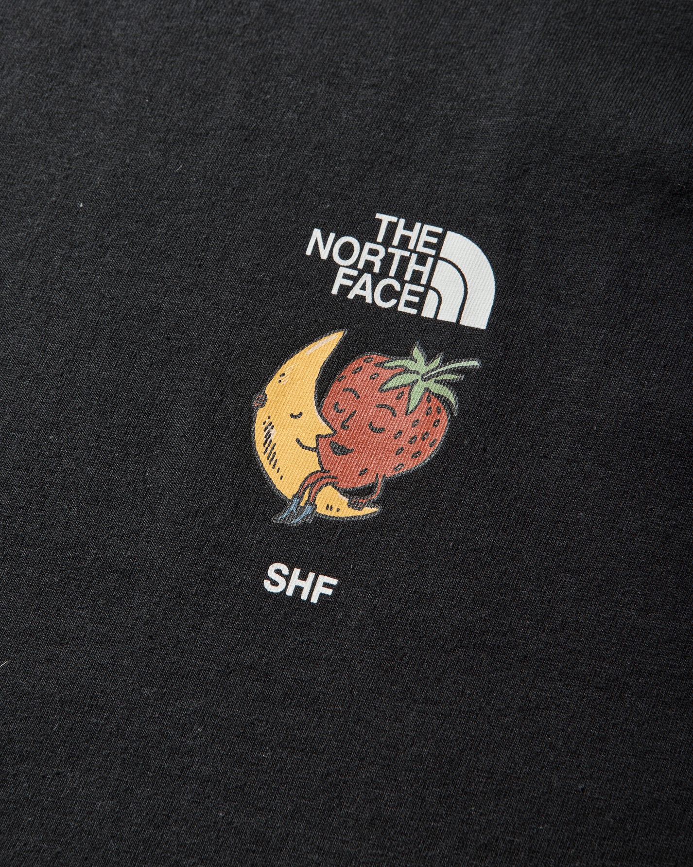 The North Face Tnf X Shf Tee Black T-Shirts Shortsleeve NF0A8HHPJK31 NFJK3