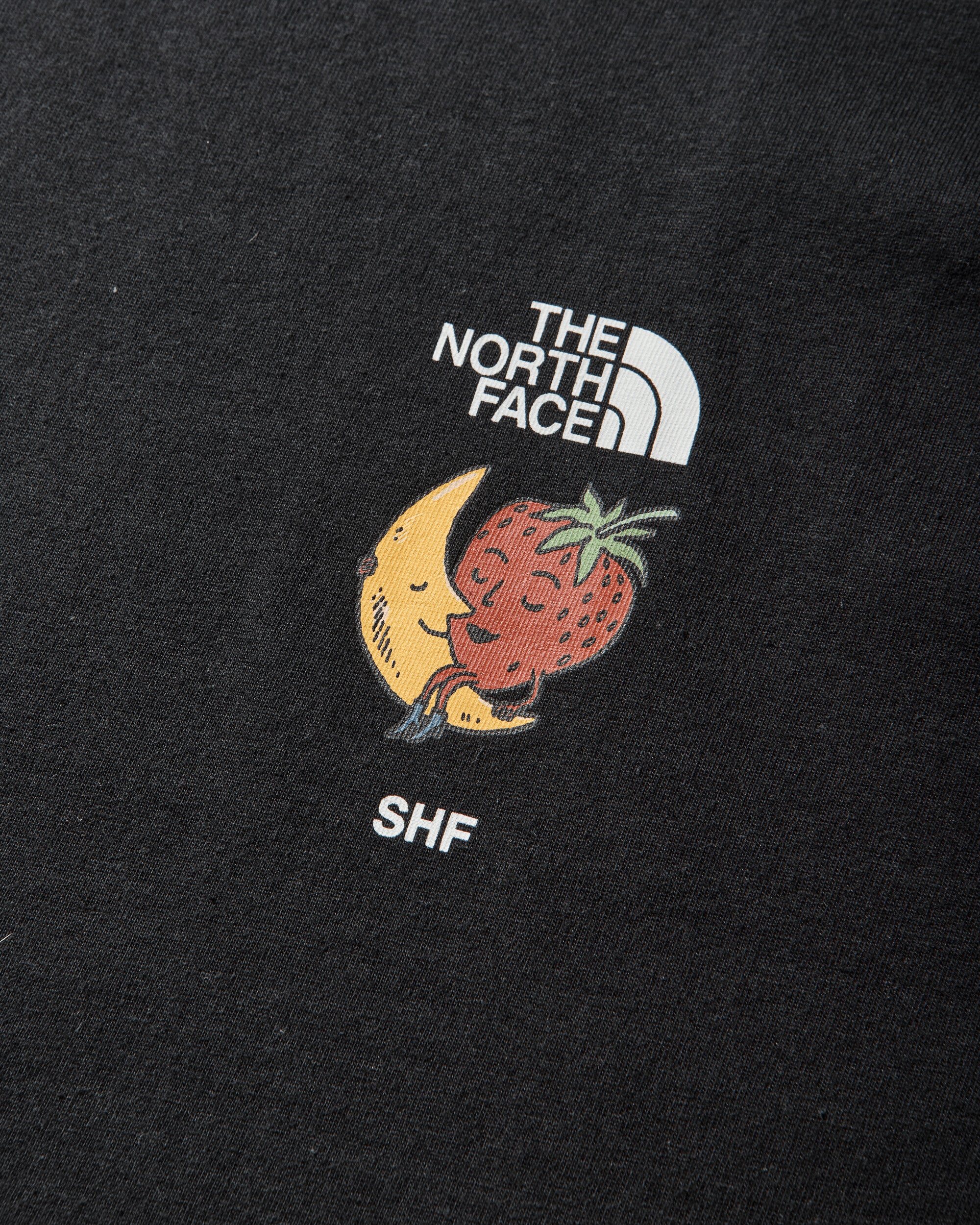The North Face Tnf X Shf Tee Black T-Shirts Shortsleeve NF0A8HHPJK31 NFJK3