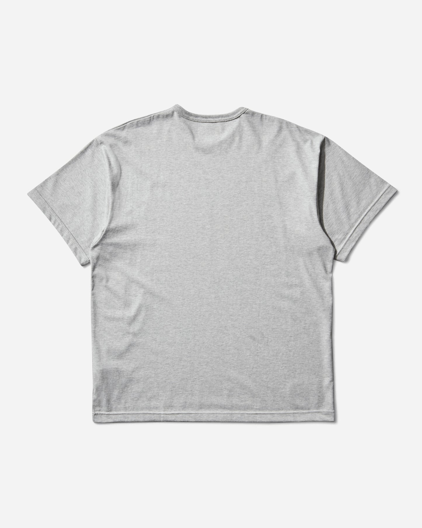 WTAPS Academy 01/Ss/Ctpl Ash Gray T-Shirts Shortsleeve 251ATDT-CSM19 ASHGRAY