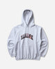 XLARGE Scream Logo Hoodie Ash Sweatshirts Hoodies F201263012006 12