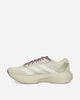 adidas Adizero Evo Sl Woven  Hk Putty Grey Sneakers Low JS2441