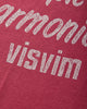 visvim Jumbo Tee S/S Dmgd Red T-Shirts Shortsleeve 0126305010002 RED