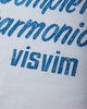 visvim Jumbo Tee S/S Dmgd White T-Shirts Shortsleeve 0126305010002 WHITE