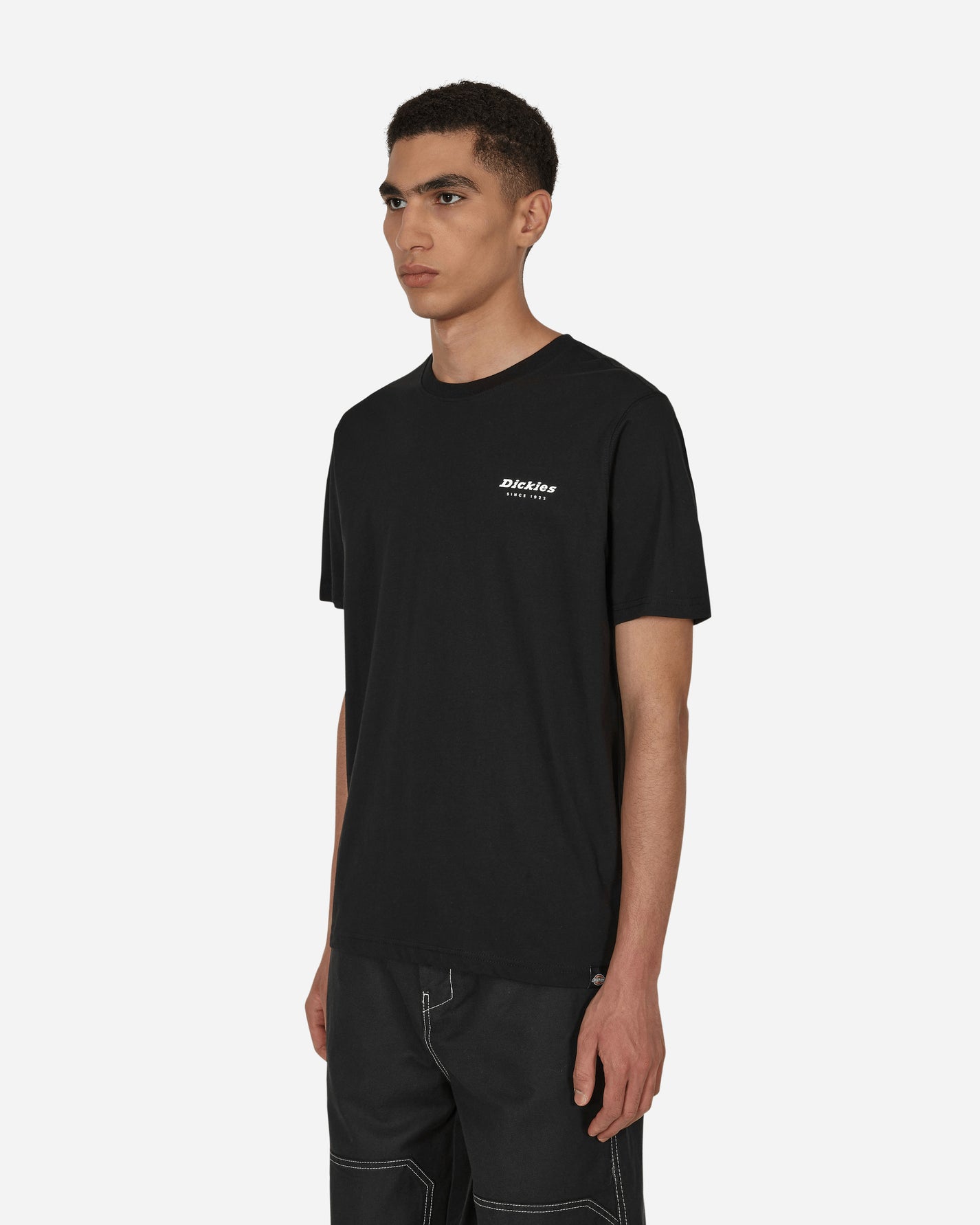 Dickies Camden Box Tee Ss Black Shirts Shortsleeve DK0A4Y1H BLK1