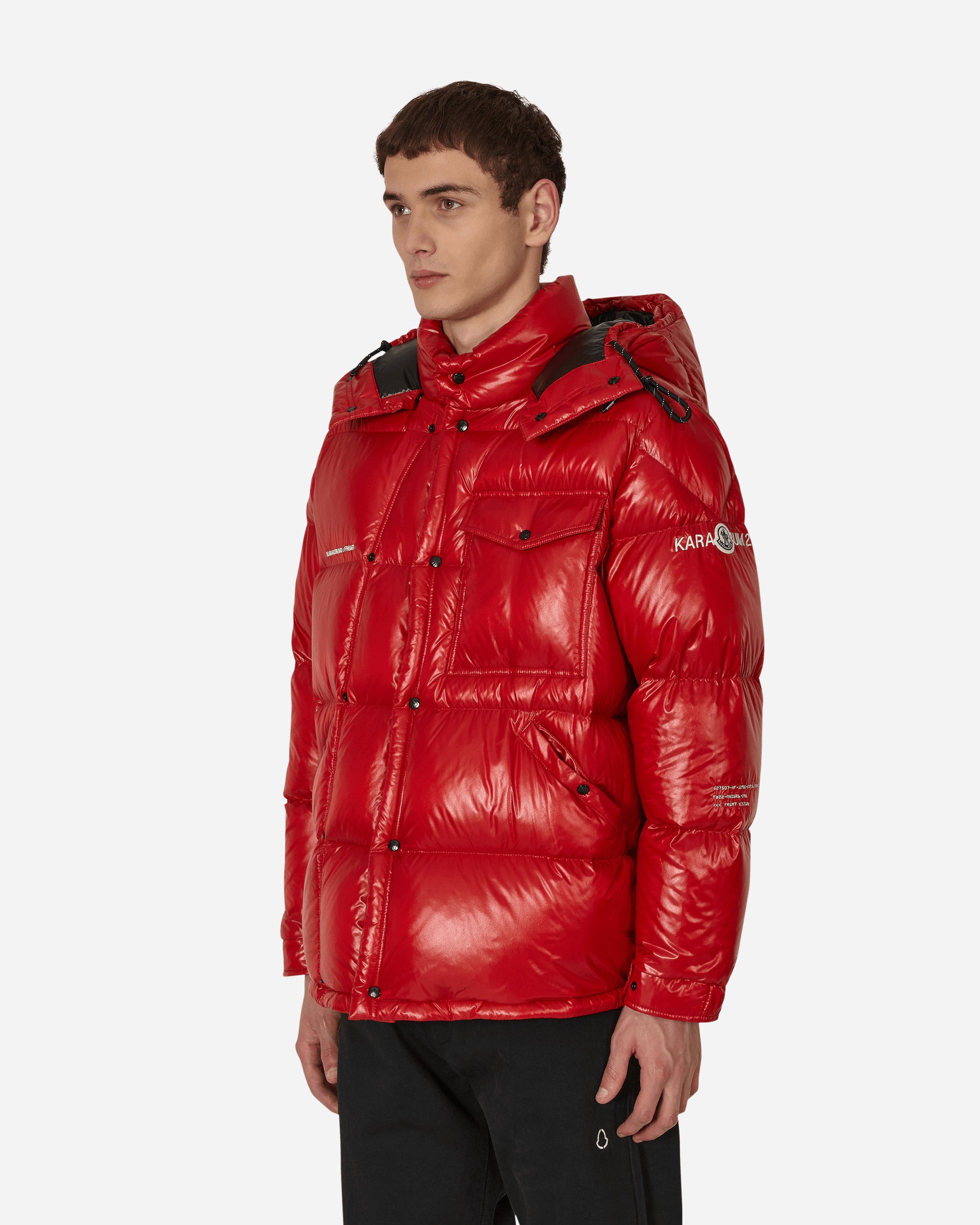 Moncler Genius 7 Moncler FRGMT Hiroshi Fujiwara Anthemium Down