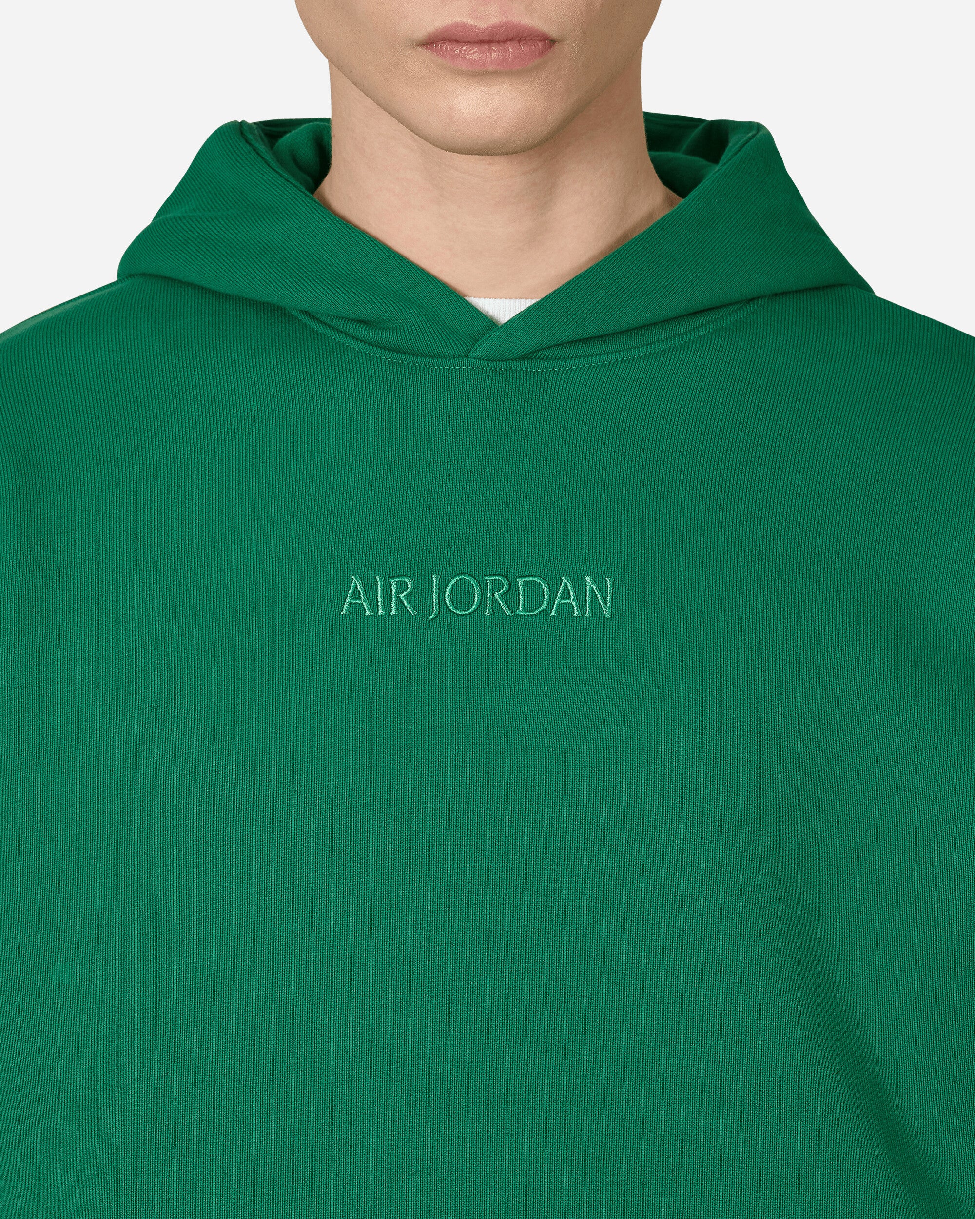 Nike Jordan Air Jordan Wm Flc Hoodie Pine Green Sweatshirts Hoodies FJ1966-302